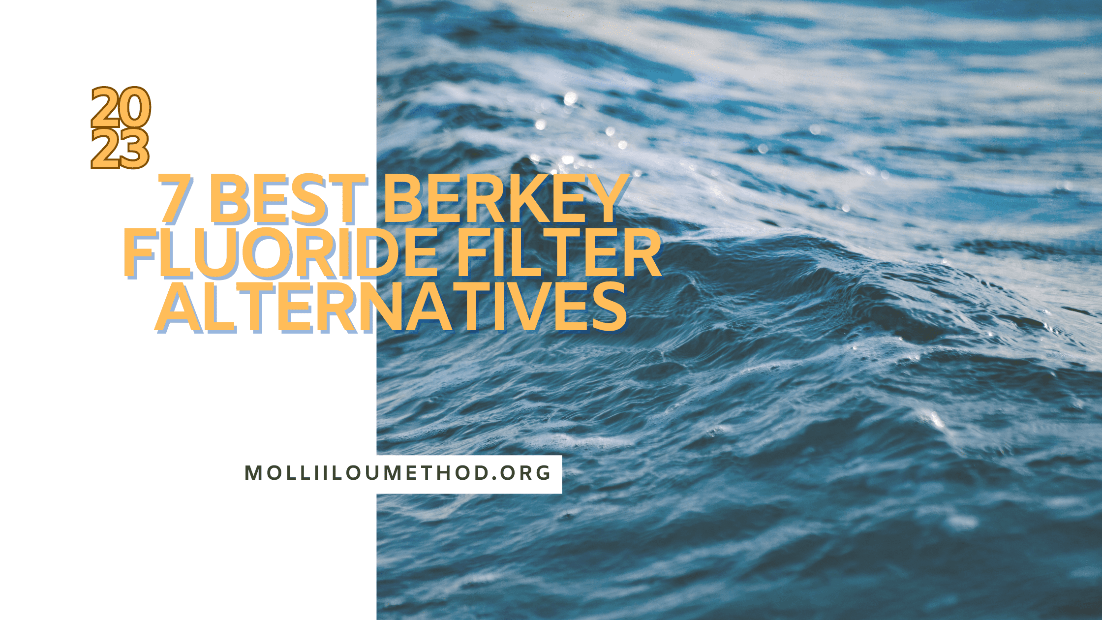 7 Best Berkey Fluoride Filter Alternatives Strategy Sculptors